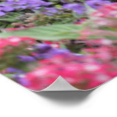 Poster Fleurs de printemps (Coin)