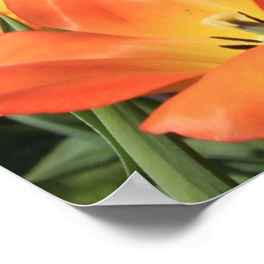 Poster Fleurs de printemps (Coin)