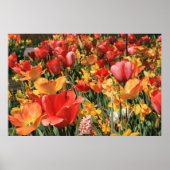 Poster Fleurs de printemps (Devant)
