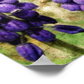 Poster Fleurs de printemps (Coin)