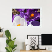 Poster Fleurs de printemps blanches et violettes (Bureau à domicile)