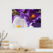 Poster Fleurs de printemps blanches et violettes (Cuisine)