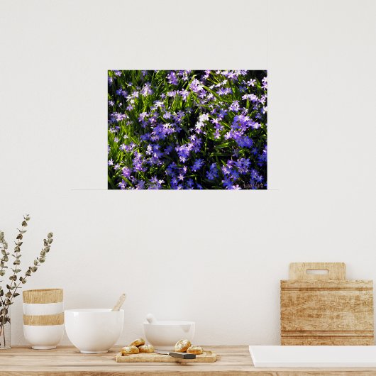 Poster Fleurs de printemps Blue Squale (Cuisine)