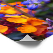 Poster Fleurs de printemps Bluebell Hyacinthoides (Coin)