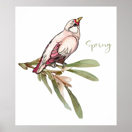 Poster Fleurs de printemps. Les chutes de neige. (Devant)