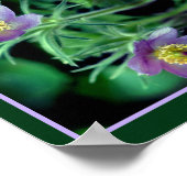 Poster Fleurs de printemps pasque violet Abstraites (Coin)