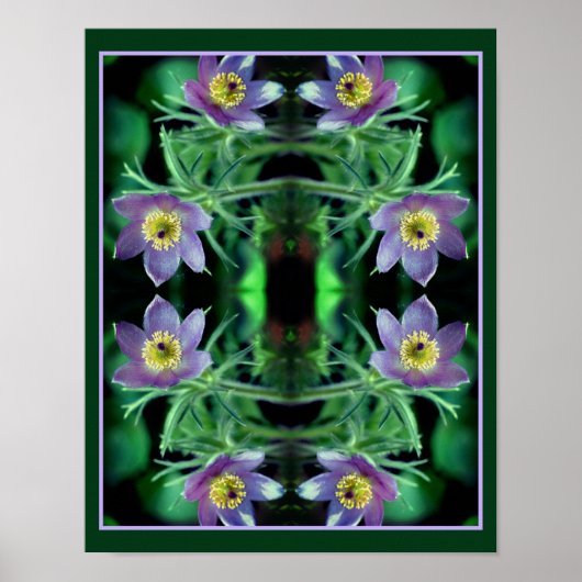 Poster Fleurs de printemps pasque violet Abstraites (Devant)