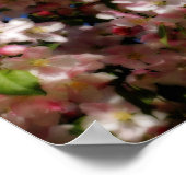 Poster Fleurs de printemps rose effet Sky Orton bleu (Coin)