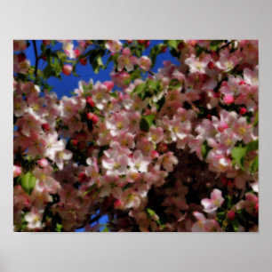 Poster Fleurs de printemps rose effet Sky Orton bleu