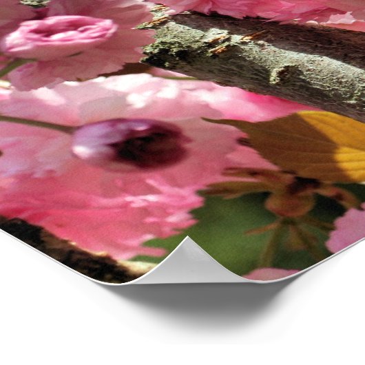 Poster Fleurs de printemps roses (Coin)