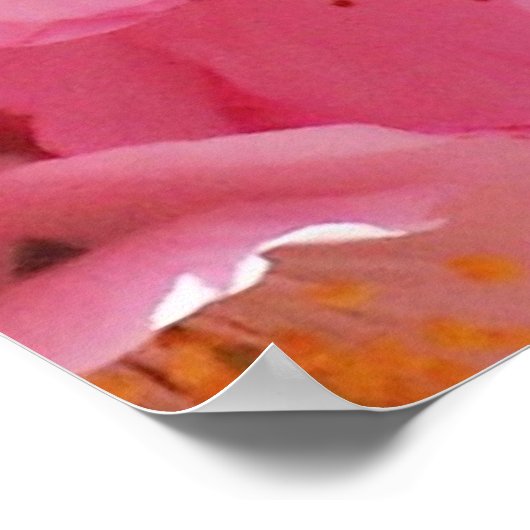 Poster Fleurs de printemps roses (Coin)