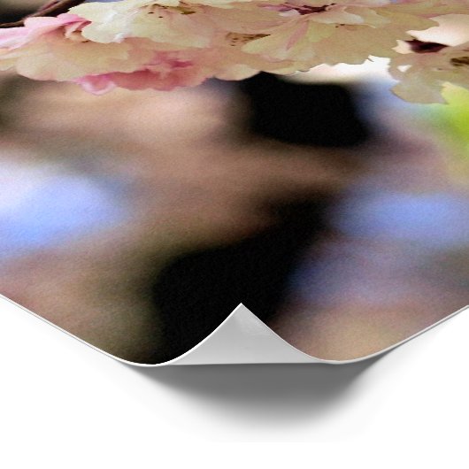 Poster Fleurs de printemps roses 3 (Coin)