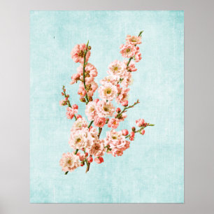 Poster Fleurs de prune sur Denim vieilli