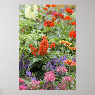 Poster Fleurs de ressort