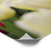 Poster Fleurs de ressort douces (Coin)