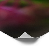 Poster Fleurs De Ressort Roses Et Bleues (Coin)