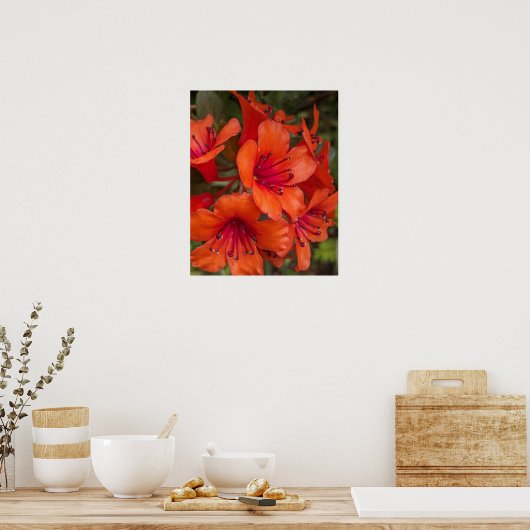 Poster Fleurs de Rhododendron Orange Clair (Cuisine)