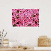 Poster Fleurs de rhododendron rose (Cuisine)