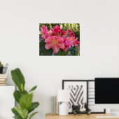 Poster Fleurs de Rhododendron Rose (Bureau à domicile)