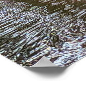 Poster Fleurs de Rhododendron rose reflet d'eau (Coin)