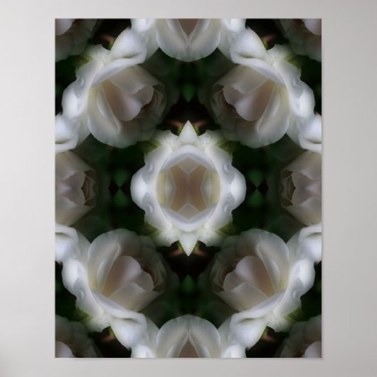 Poster Fleurs de rose blanche Abstraites (Devant)