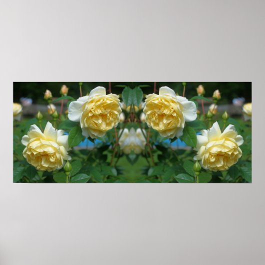 Poster Fleurs de rose jaune miroir Abstrait (Devant)