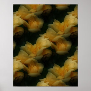 Poster Fleurs de rose jaune Motif d'art naturel