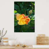 Poster Fleurs de roses (Cuisine)
