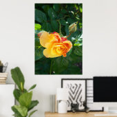 Poster Fleurs de roses (Bureau à domicile)