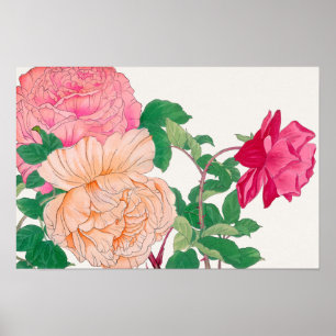 Poster Fleurs de roses roses et orange pâle