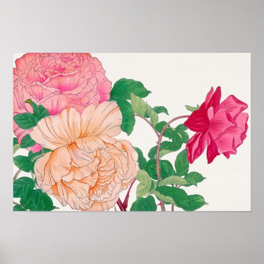 Poster Fleurs de roses roses et orange pâle (Devant)