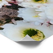 Poster Fleurs de Saguaro Argentin (Coin)