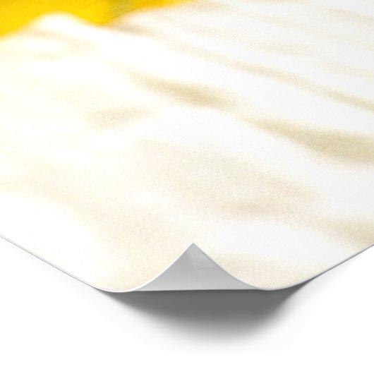 Poster Fleurs de soleil (Coin)