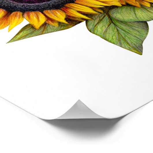 Poster Fleurs de soleil (Coin)