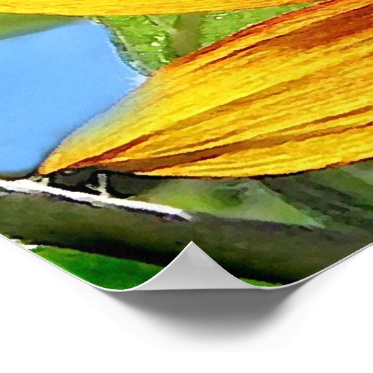 Poster Fleurs de soleil (Coin)