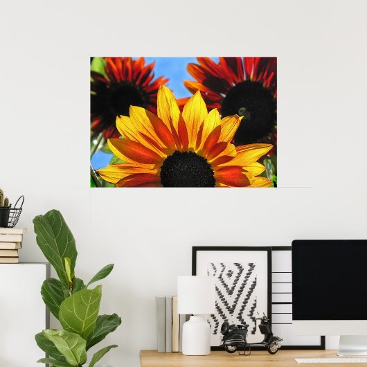 Poster Fleurs de soleil (Bureau à domicile)