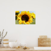 Poster Fleurs de soleil (Cuisine)