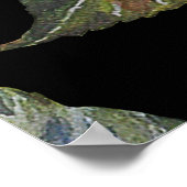 Poster Fleurs de soleil à motifs floraux sans couture sur (Coin)