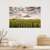 Poster Fleurs de soleil au coucher du soleil (Cuisine)