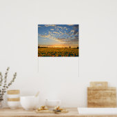 Poster Fleurs de soleil au coucher du soleil (Cuisine)