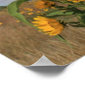 Poster Fleurs de soleil dans le Minnesota (Coin)