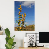 Poster Fleurs de soleil dans le Minnesota (Bureau à domicile)