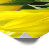 Poster Fleurs de soleil et soleil (2) (Coin)