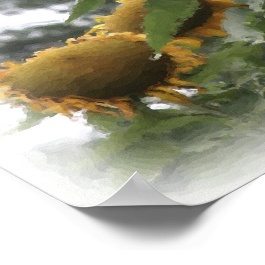 Poster Fleurs de soleil géantes aquarelle peinture photo (Coin)