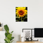Poster Fleurs de soleil géantes, fleurs jaunes (Bureau à domicile)
