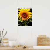 Poster Fleurs de soleil géantes, fleurs jaunes (Cuisine)