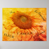 Poster Fleurs de soleil géantes Grunge jaune Script Vinta (Devant)