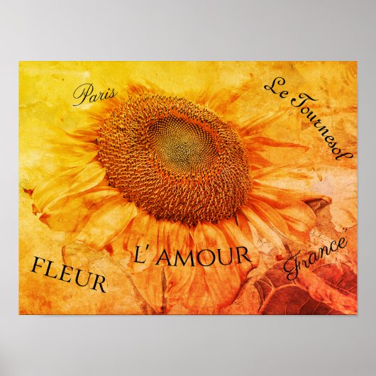 Poster Fleurs de soleil géantes Grunge jaune Script Vinta (Devant)