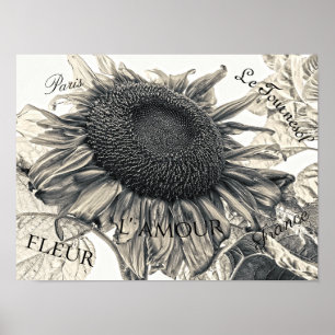 Poster Fleurs de soleil géantes Sépia Vintage Ephémère de