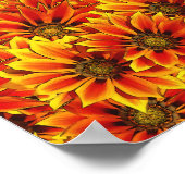 Poster Fleurs de soleil orange (Coin)